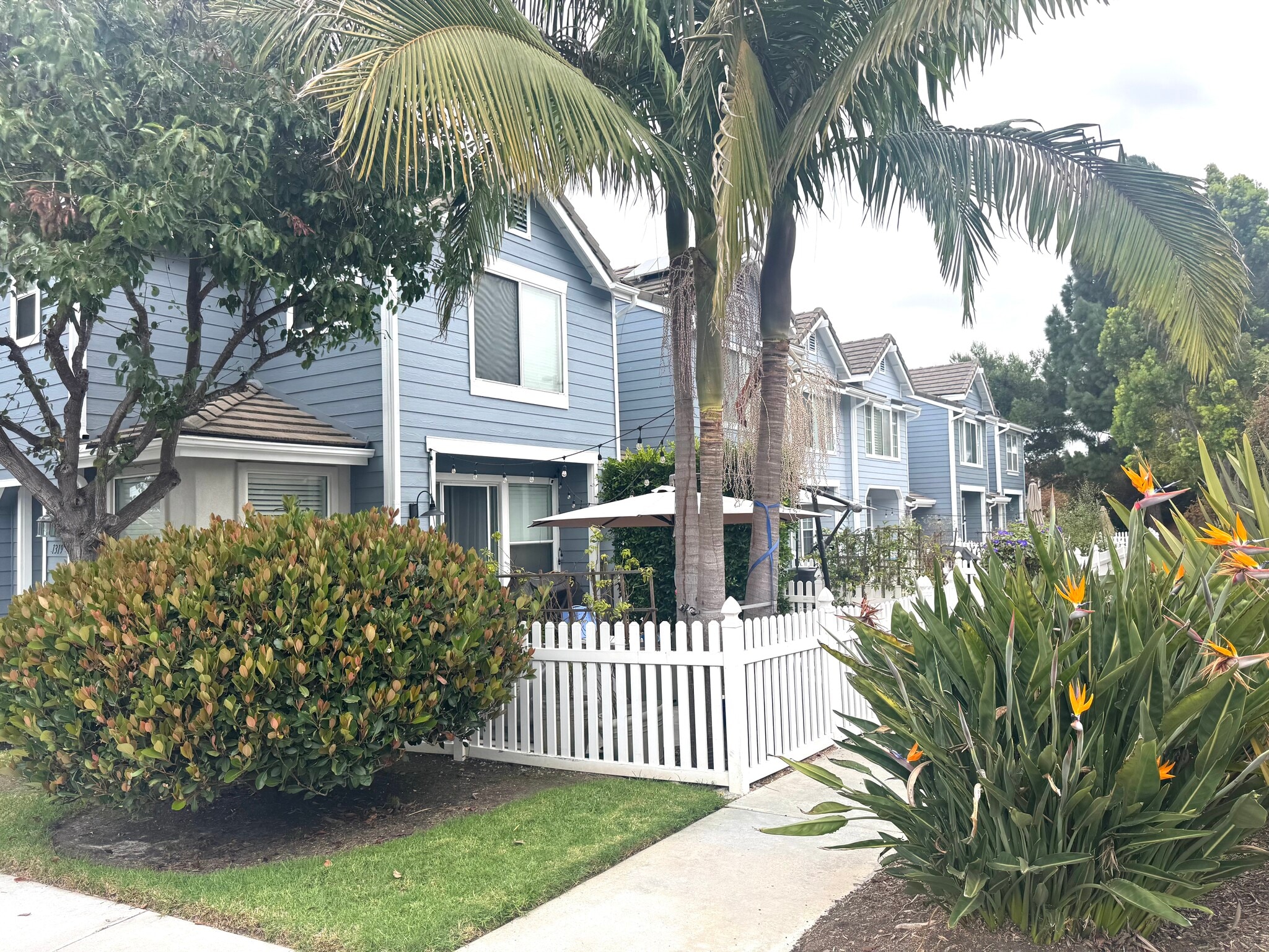 Building Photo - 1331 Statice Ct