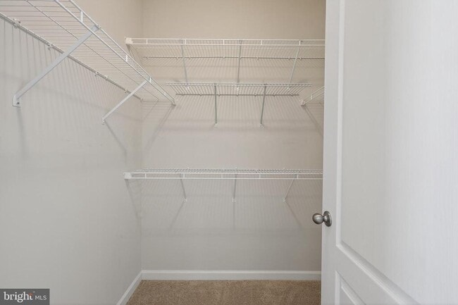 Building Photo - 1023 Flester Ln