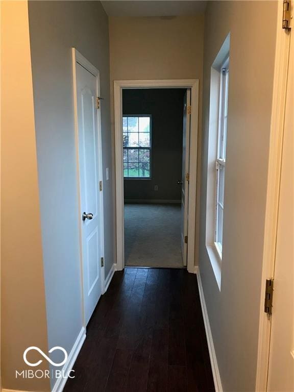Building Photo - 9766 Prairie Smoke Dr