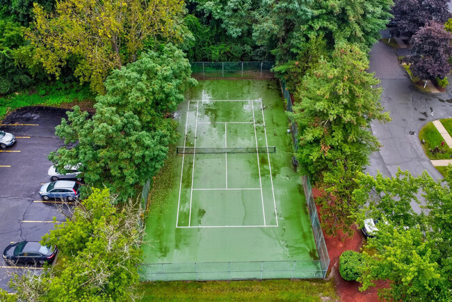 Tennis Court - 171 Swanton St