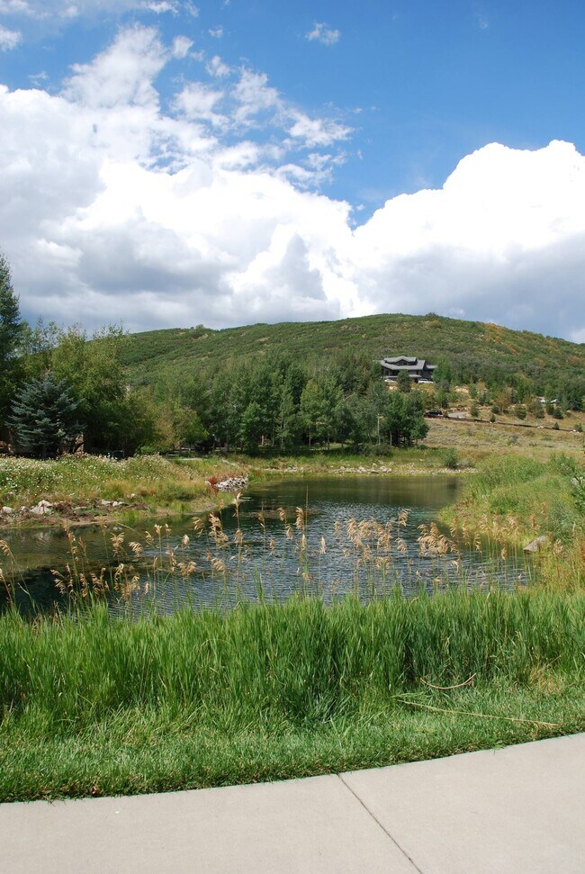 Building Photo - 2410 Deer Lake Dr