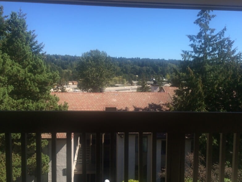 View from deck - 10424 NE 32nd Plz