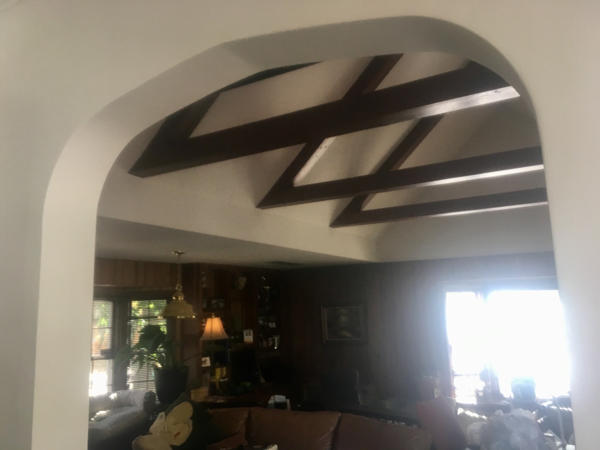 Family/ Friends RM with vaulted ceiling - 555 Saulsbury St