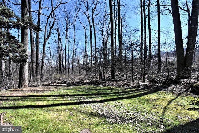 Building Photo - 306 Cedar Hill Rd