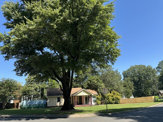 Woodside View - 1033 Woodside Ave