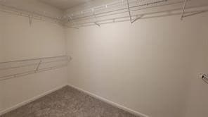 Building Photo - 315 Marsh Ln