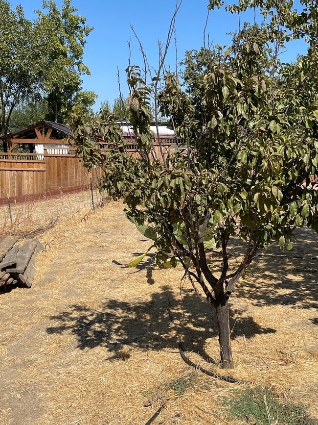 Building Photo - 5-Bedroom, 3-Bathroom Home for Rent on 1-A...