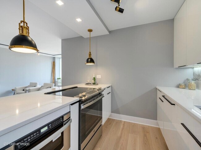 Building Photo - 1355 N Sandburg Terrace