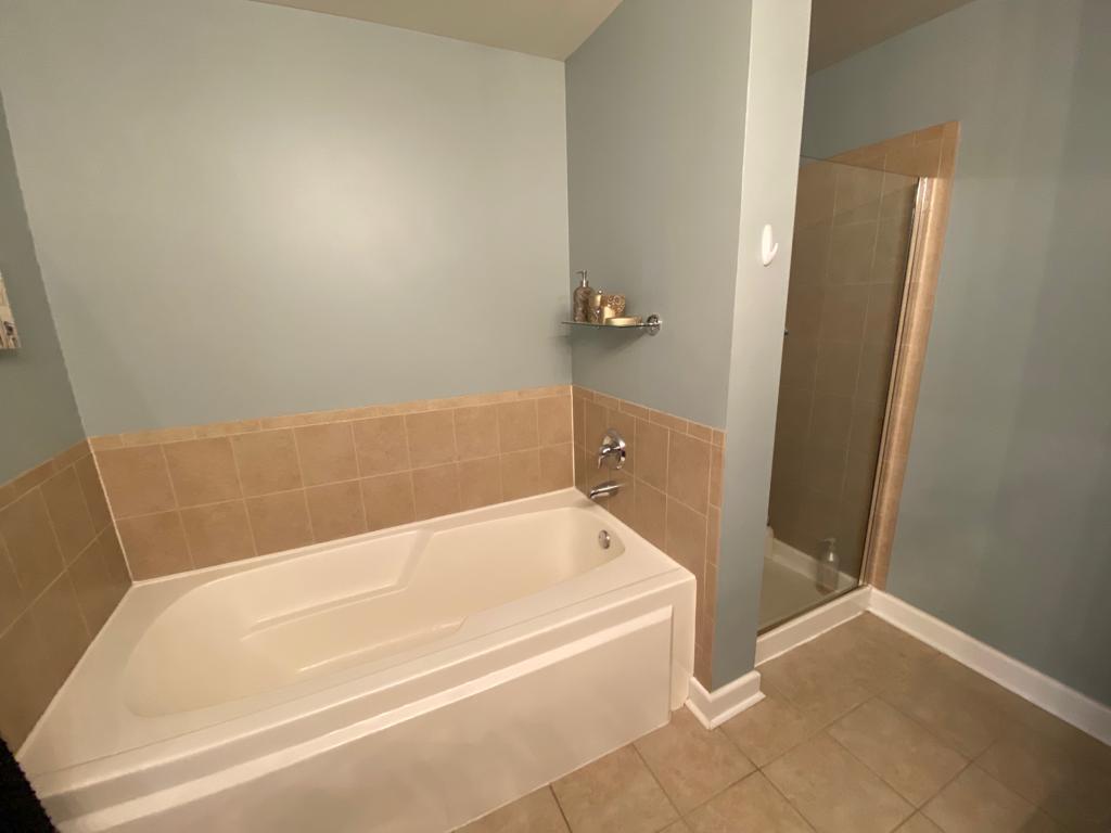 Master Bath - 1305 S Michigan Ave