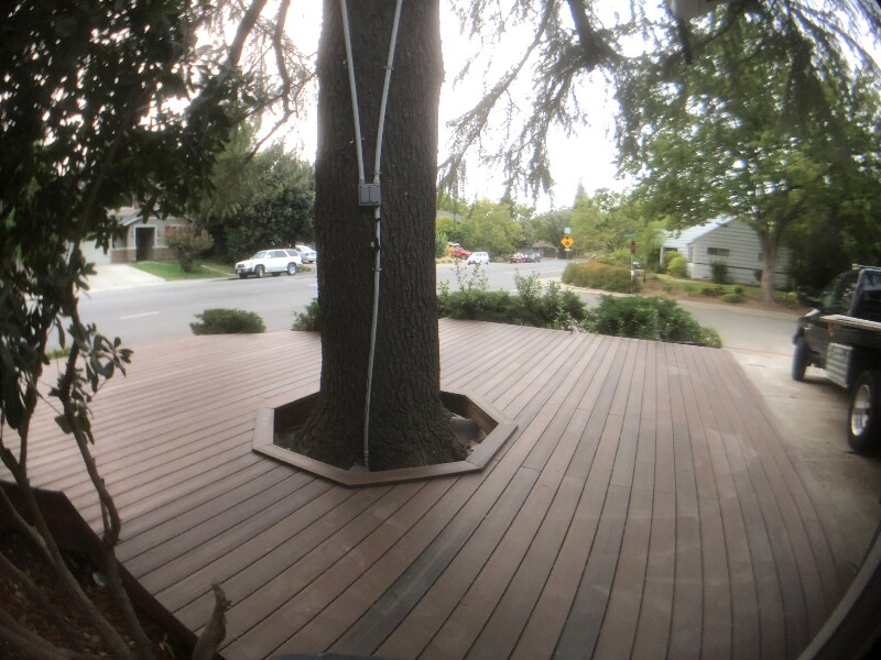 Building Photo - 906 Sycamore Ln
