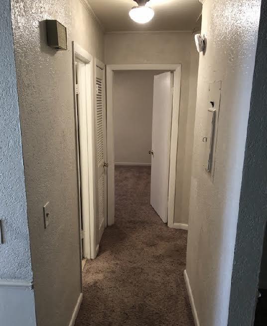 Building Photo - Coming Soon! 2BR Duplex with Screened Patio in the Murray Hill