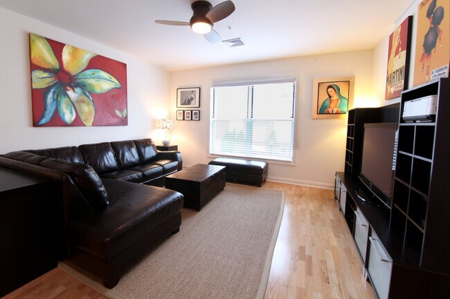 Living area - 7 Ballister Street