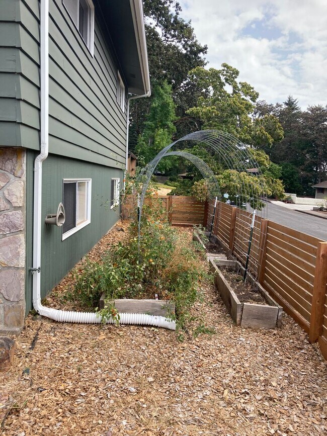Building Photo - Mid-Century Four Bedroom in Candalaria, La...