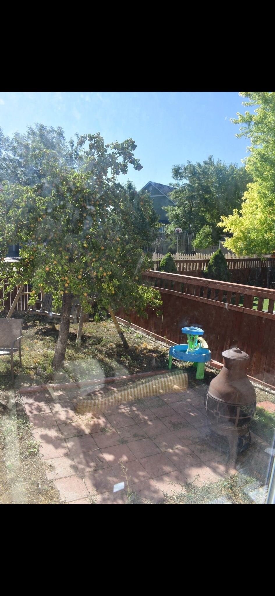 Building Photo - 228 Paloma Ave