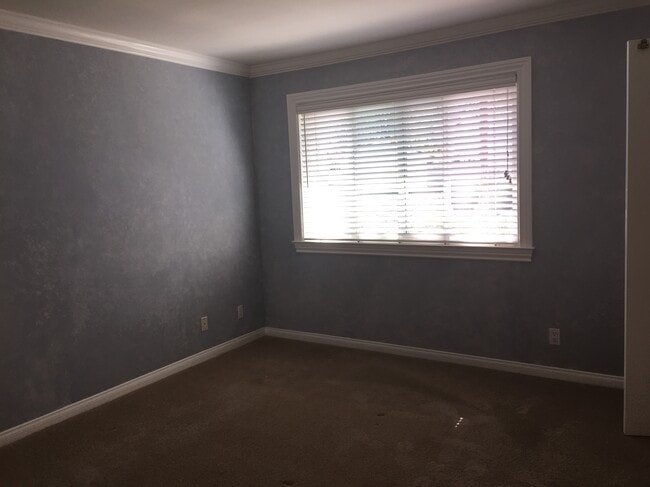 Building Photo - 237 Green Lea Pl