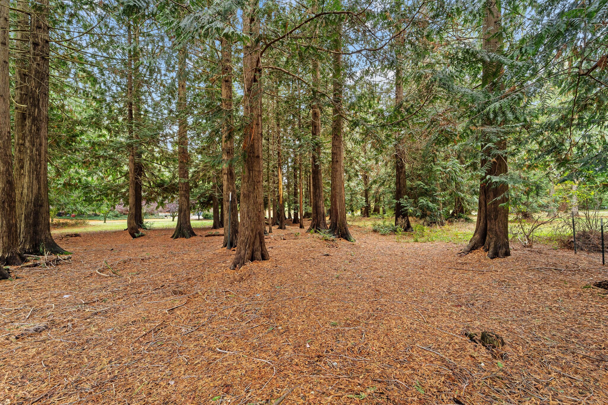 Building Photo - 31727 76th Ave NW