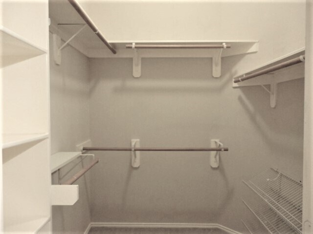 Building Photo - 2606 Slider Ct