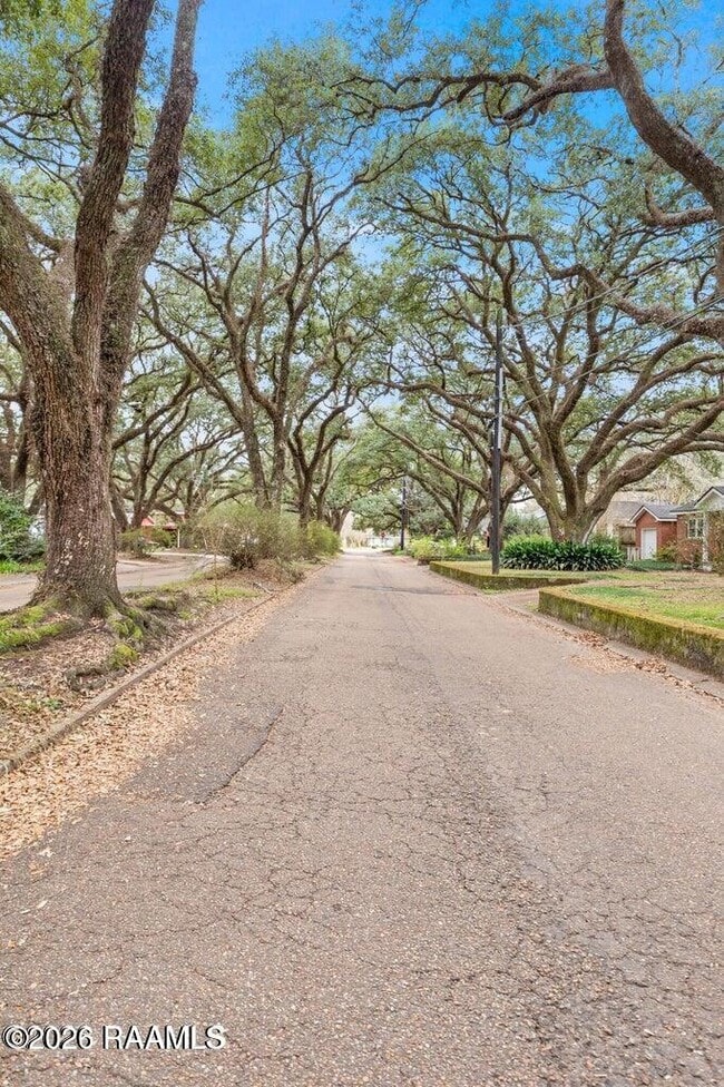 Building Photo - 328 Theodora Blvd