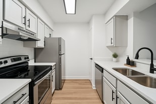 Building Photo - The Brady at Tampa Palms