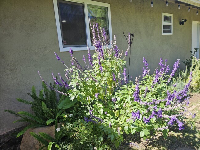 Building Photo - 494 Scandia Dr