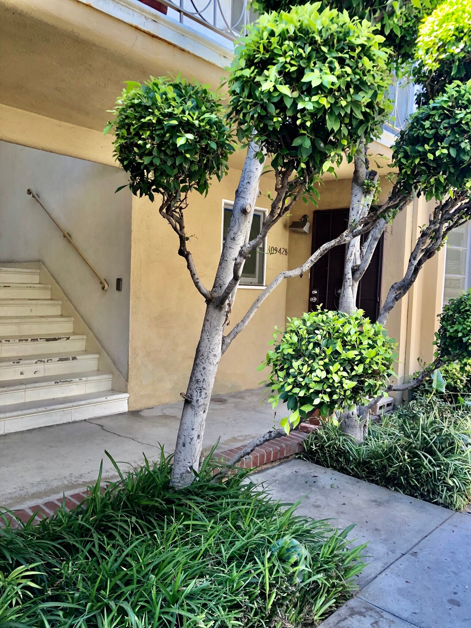 Building Photo - 10942 Moorpark St