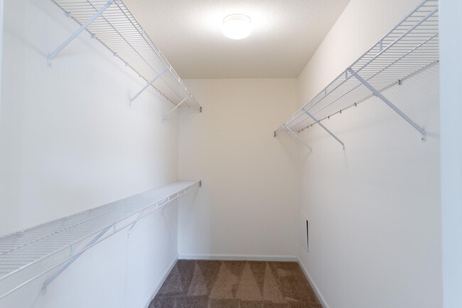 Building Photo - 5015 CARRIE RIDGE Dr