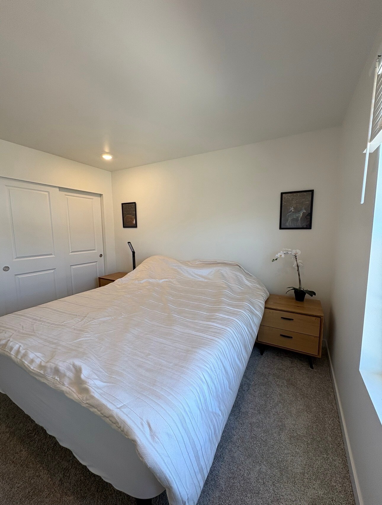 Bedroom with Closet - 26505 177th Pl SE