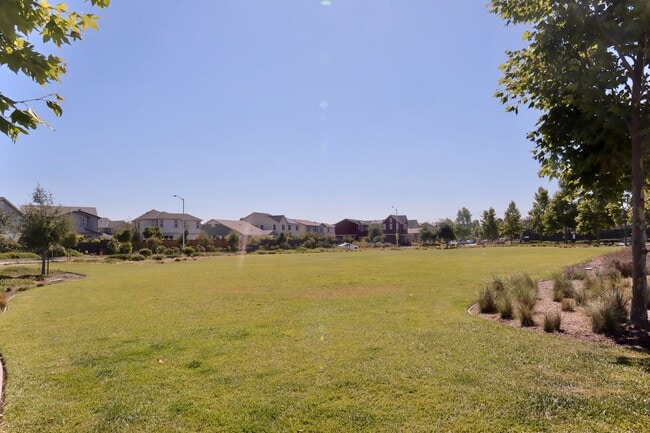 Building Photo - Stunning Executive Style Home in Fremont – Ardenwood Neighborhood!