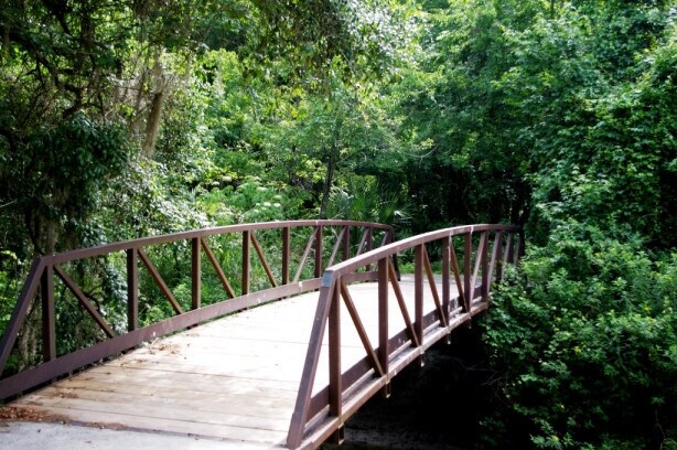 Building Photo - Longwood (The Springs) - 2 Bedroom, 1 Bathroom - $1,795.00