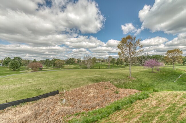 Building Photo - 319 Monroe Dr