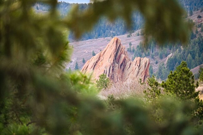 Building Photo - Stunning Fully Furnished Home in Roxborough Park!