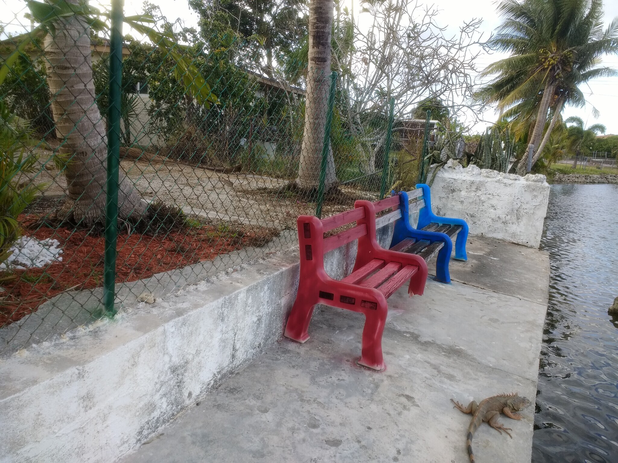 Bench Next to Lake - 4850 Southwest 41st Avenue