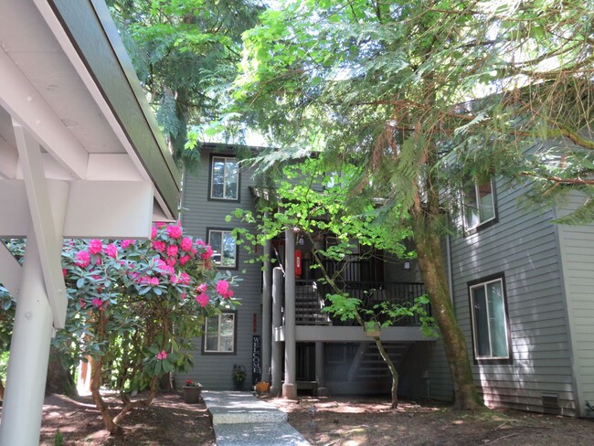 Building Photo - Redmond Modern & Updated 3bd/2bath Condo i...