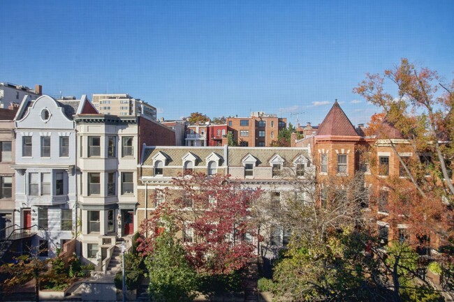 Building Photo - Adams Morgan!// Professionally Managed// 1...