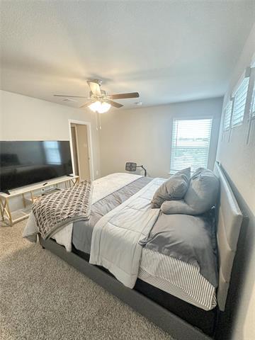 Building Photo - 3065 Strawberry Farm Ln