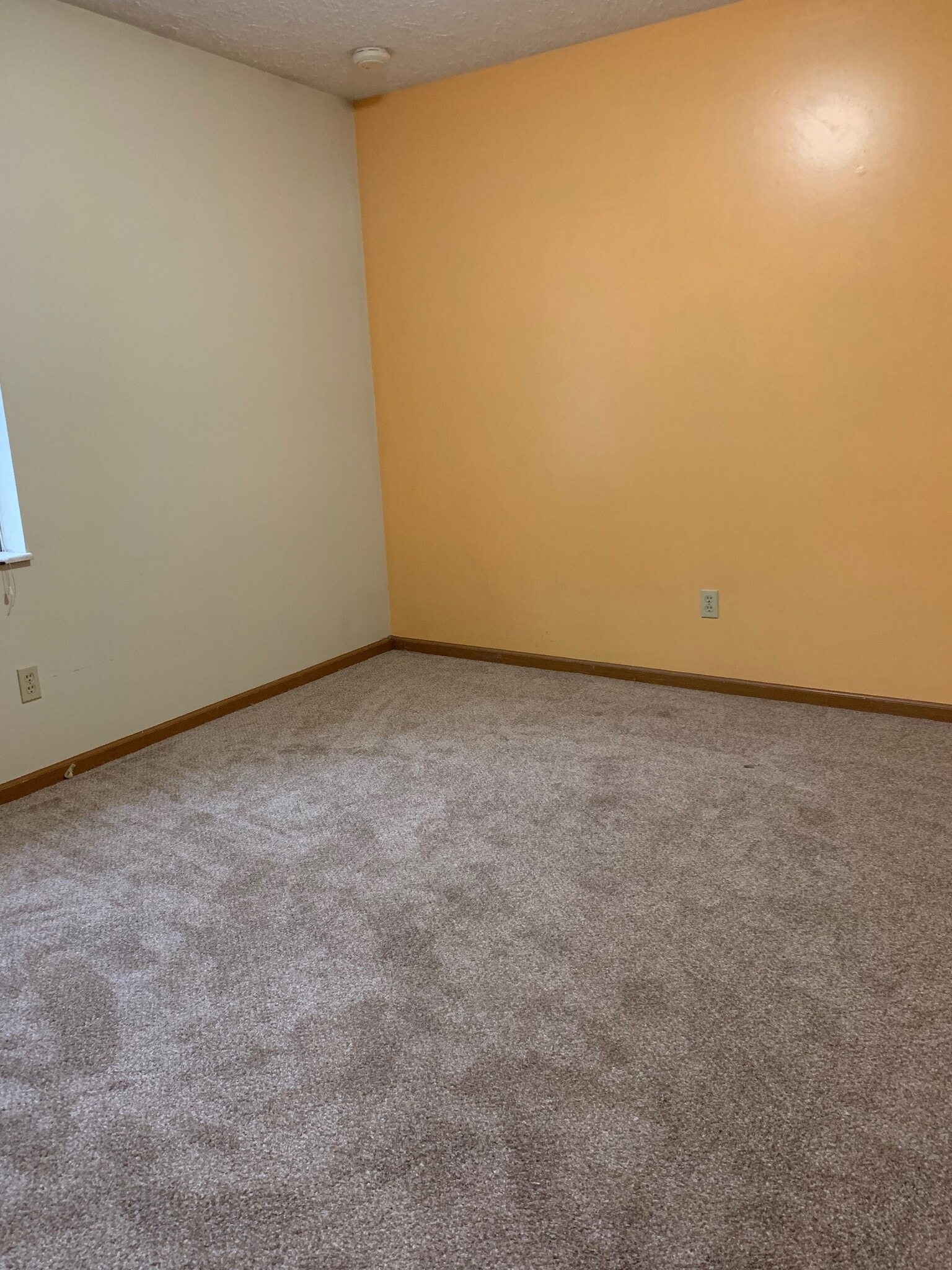 bedroom 2 - 6257 3rd Ave