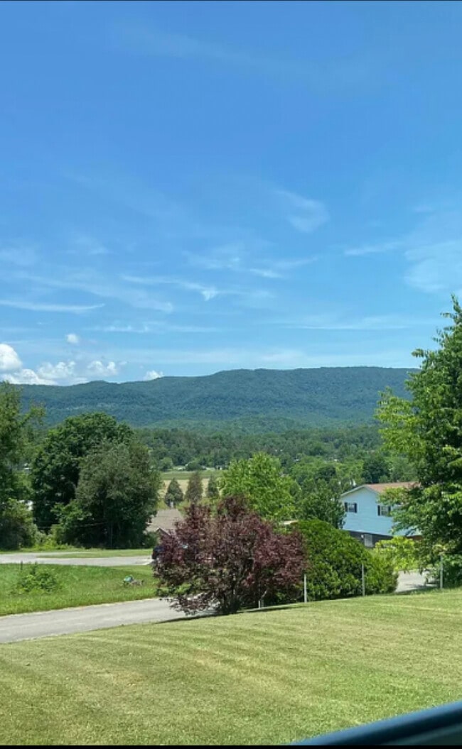 Building Photo - 512 Meadow St