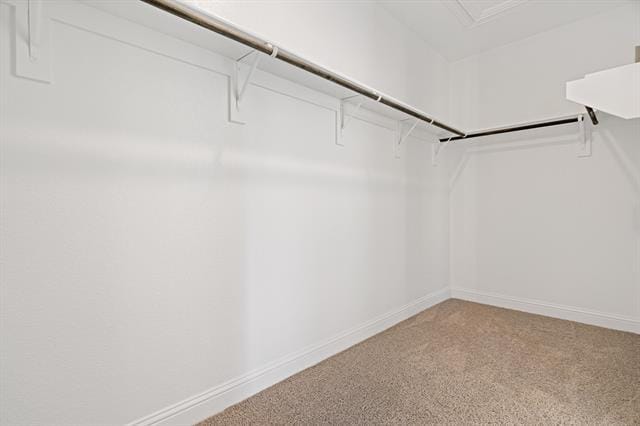 Building Photo - 124 Spanish Bluebell Dr