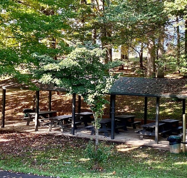 Building Photo - East Asheville - Contemporary Bungalow