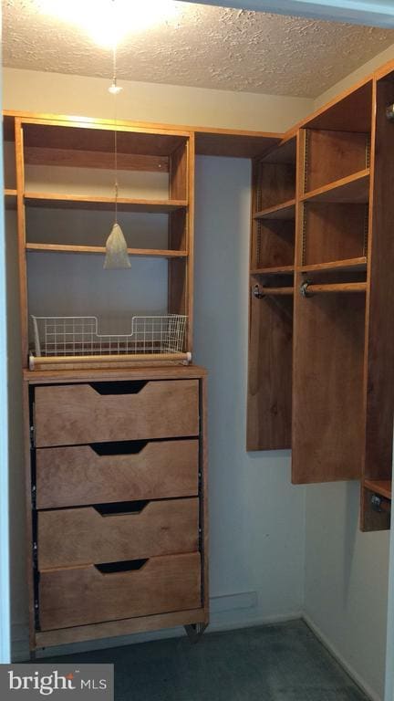 Building Photo - 3584 Palmetto Ct