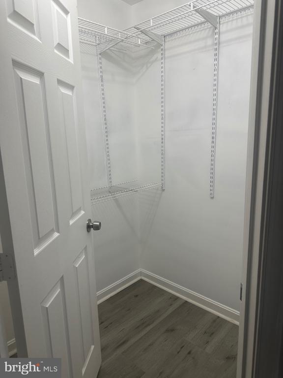 Building Photo - 405 Park Cove Dr