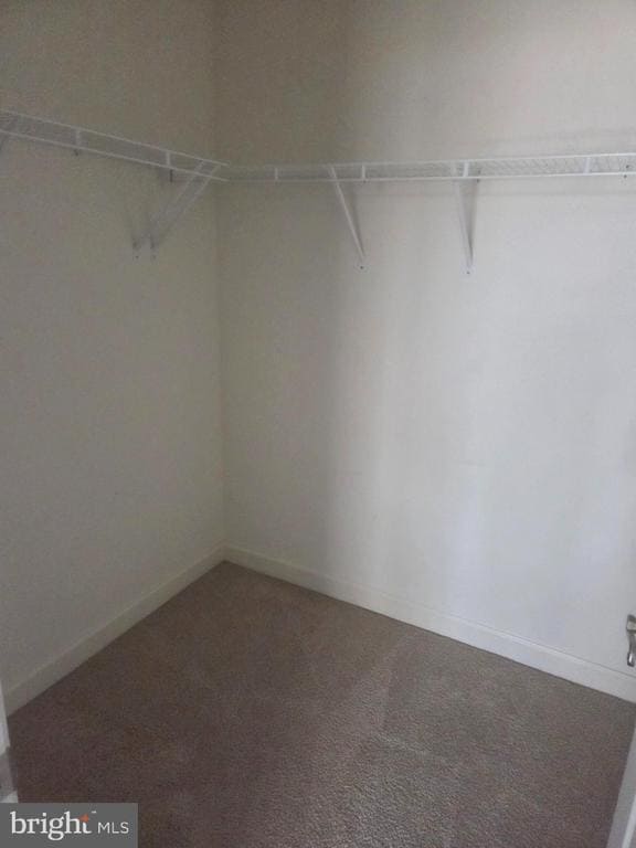 Building Photo - 8248 White Star Crossing