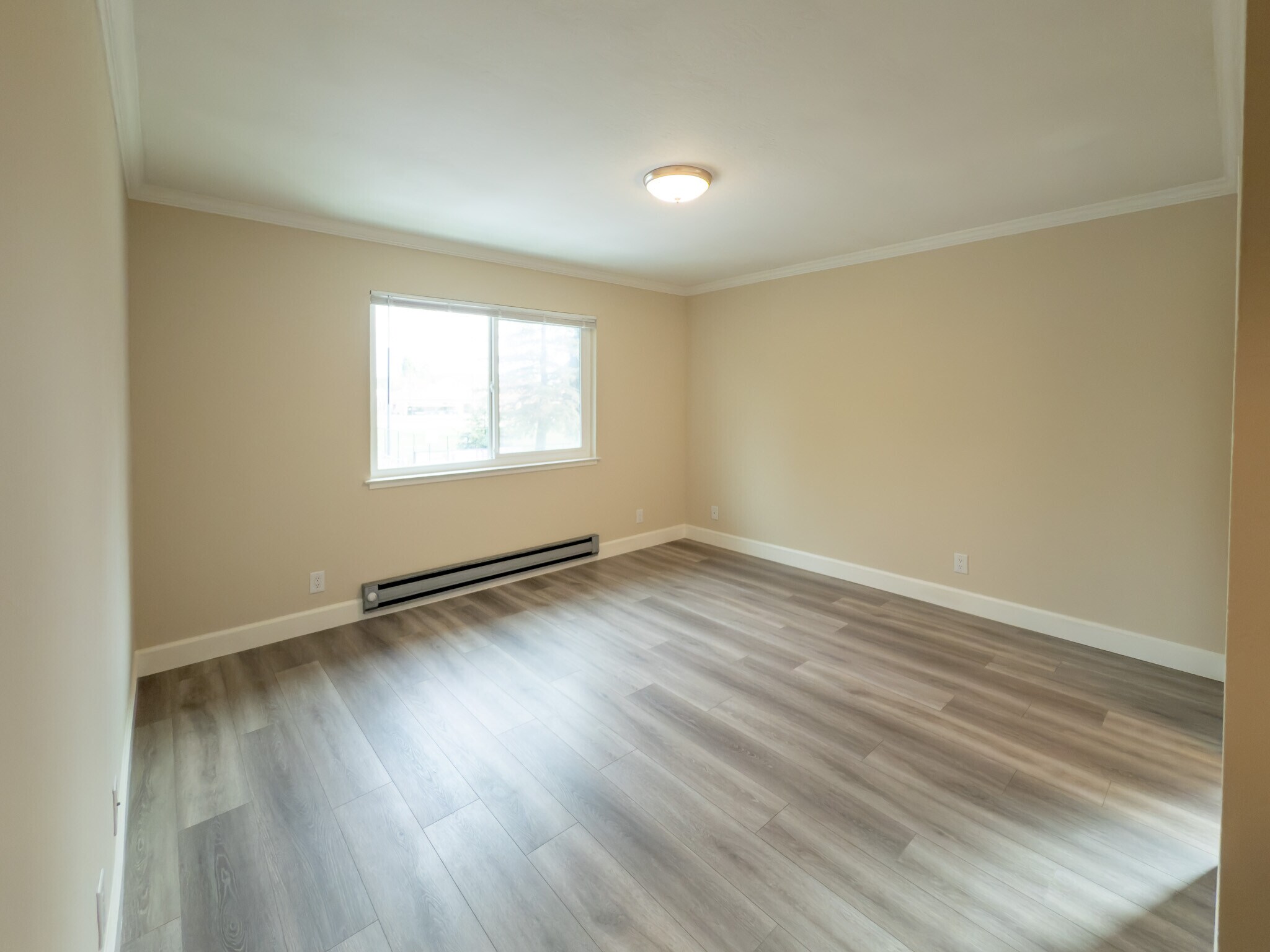 Building Photo - 242 Elwood St