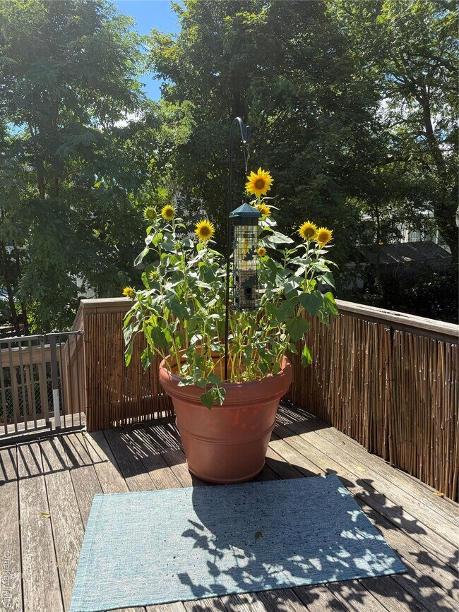 Building Photo - 12 Davis St