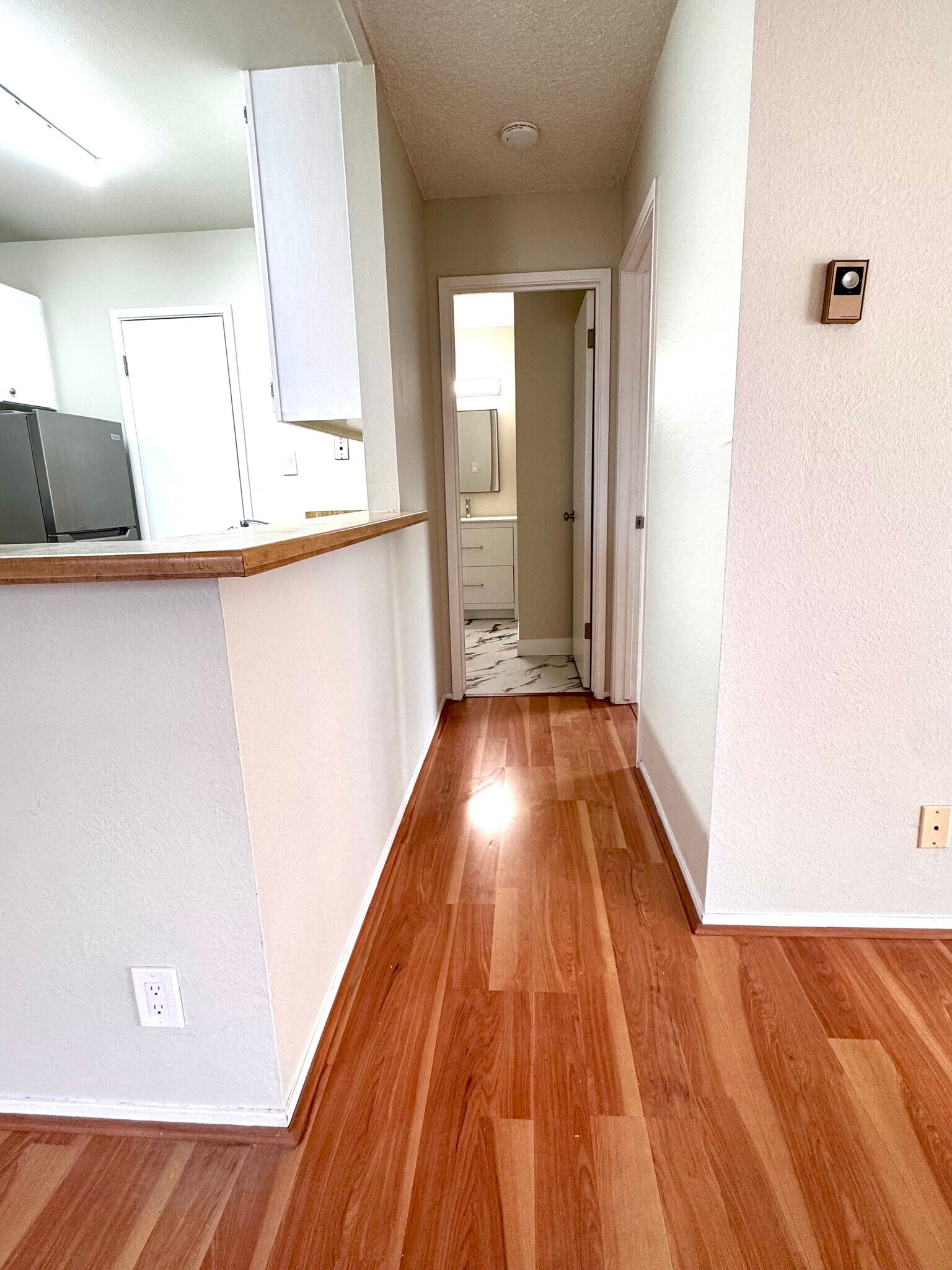 mini hallway from livingroom to bathroom - 109 Piccadilly Pl