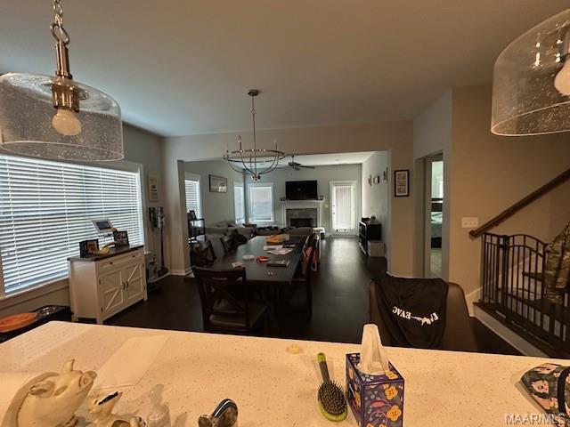 Building Photo - 507 Privet Ct