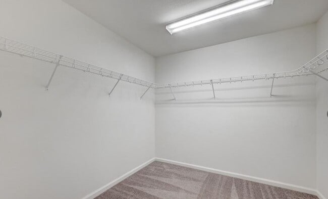 Building Photo - 8056 Haywood Estate Ave