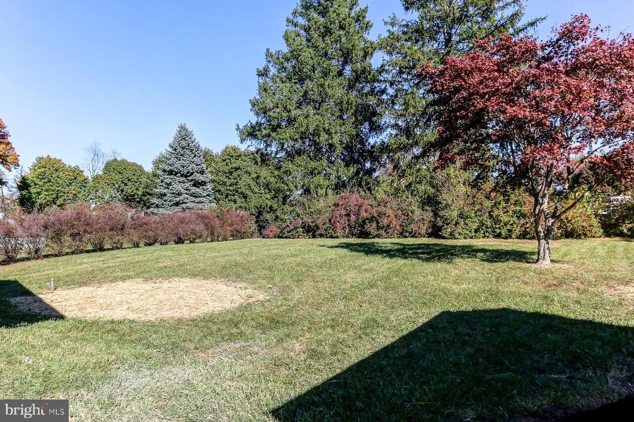 Back Yard - 2360 Sycamore Rd