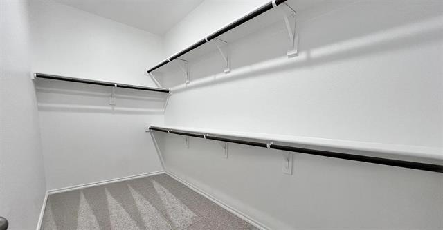 Building Photo - 3118 Sedge Grass Dr