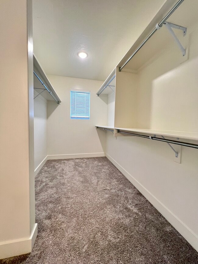 Building Photo - 3128 Halo Ln